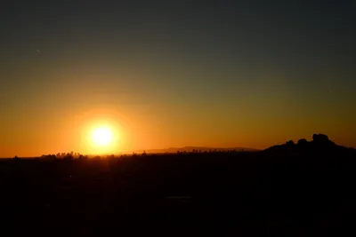 DSC_1448 (Large).JPG